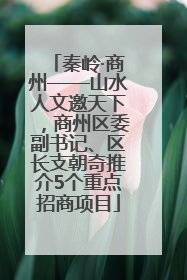 秦岭·商州——山水人文邀天下，商州区委副书记、区长支朝奇推介5个重点招商项目